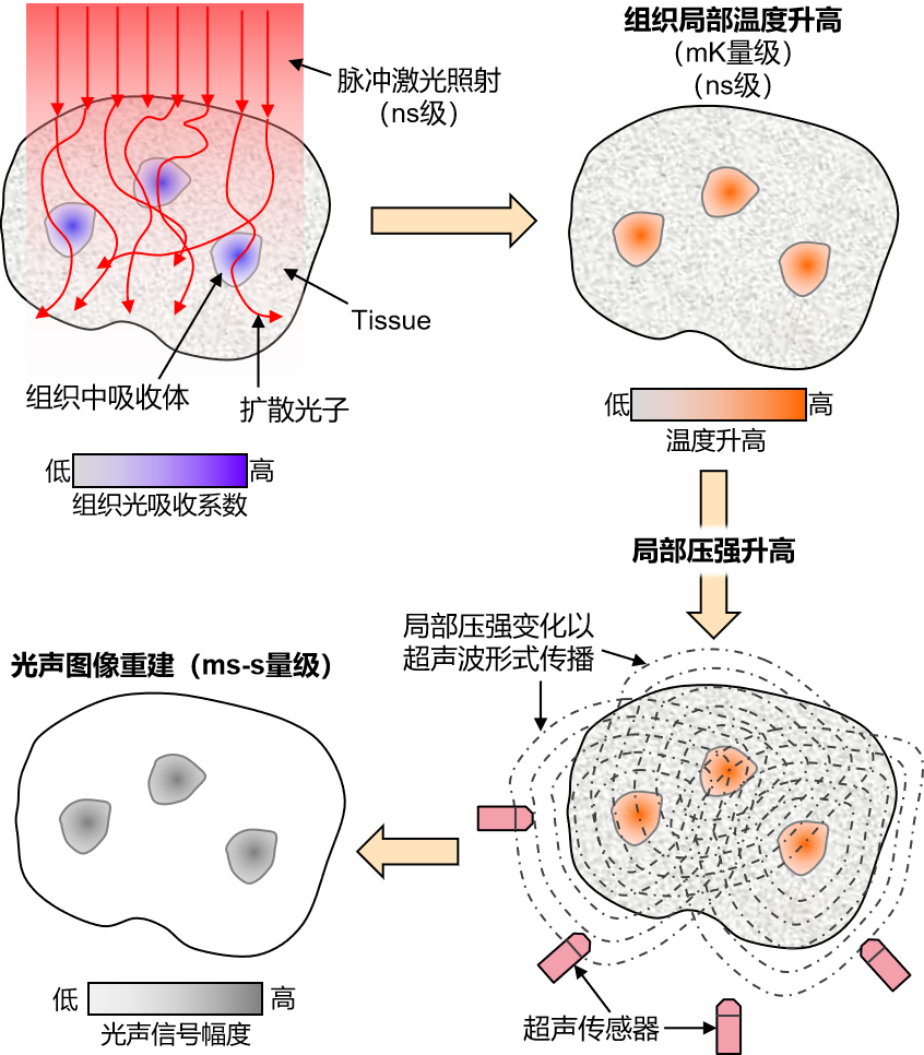 光声成像原理